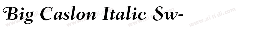 Big Caslon Italic Sw字体转换